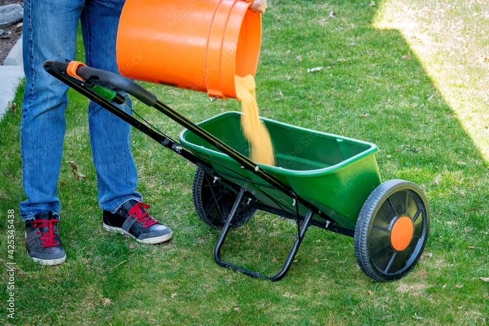 Fertiliser being poured into a drop spreader before a lawn treatment