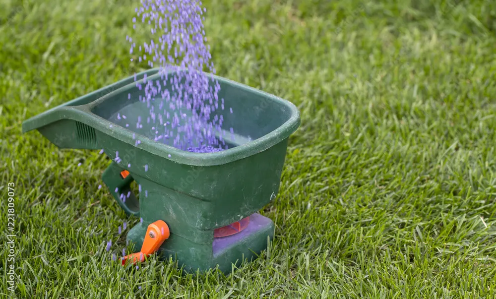 Spring lawn feed being spread by hand across a back garden lawn