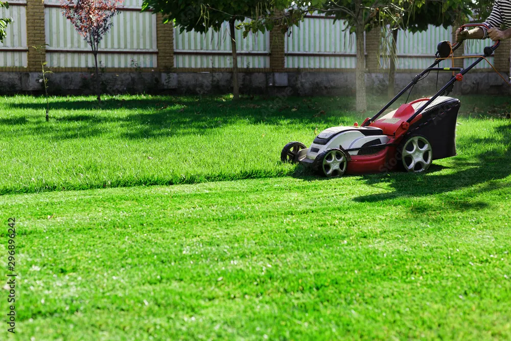 Gardener cutting a green lawn with an electric lawn mower